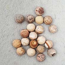 6MM ROUND CABOCHON FROSTED PICTURE JASPER(20PCS/BAG)